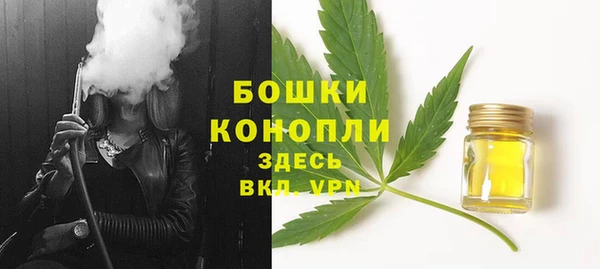 СК Каменск-Шахтинский