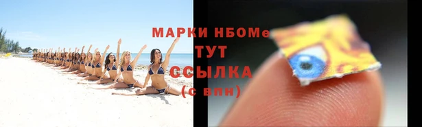 СК Каменск-Шахтинский